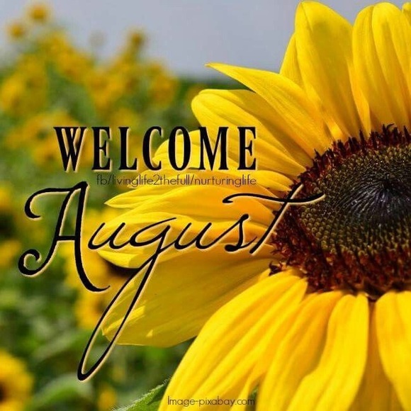 🌻AUGUST